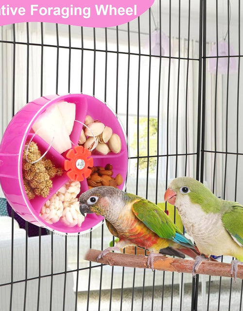 Load image into Gallery viewer, Bird Creative Foraging System Wheel Seed Food Ball Rotate Training Toy for Small and Medium Parrots Parakeet Cockatiel Conure
