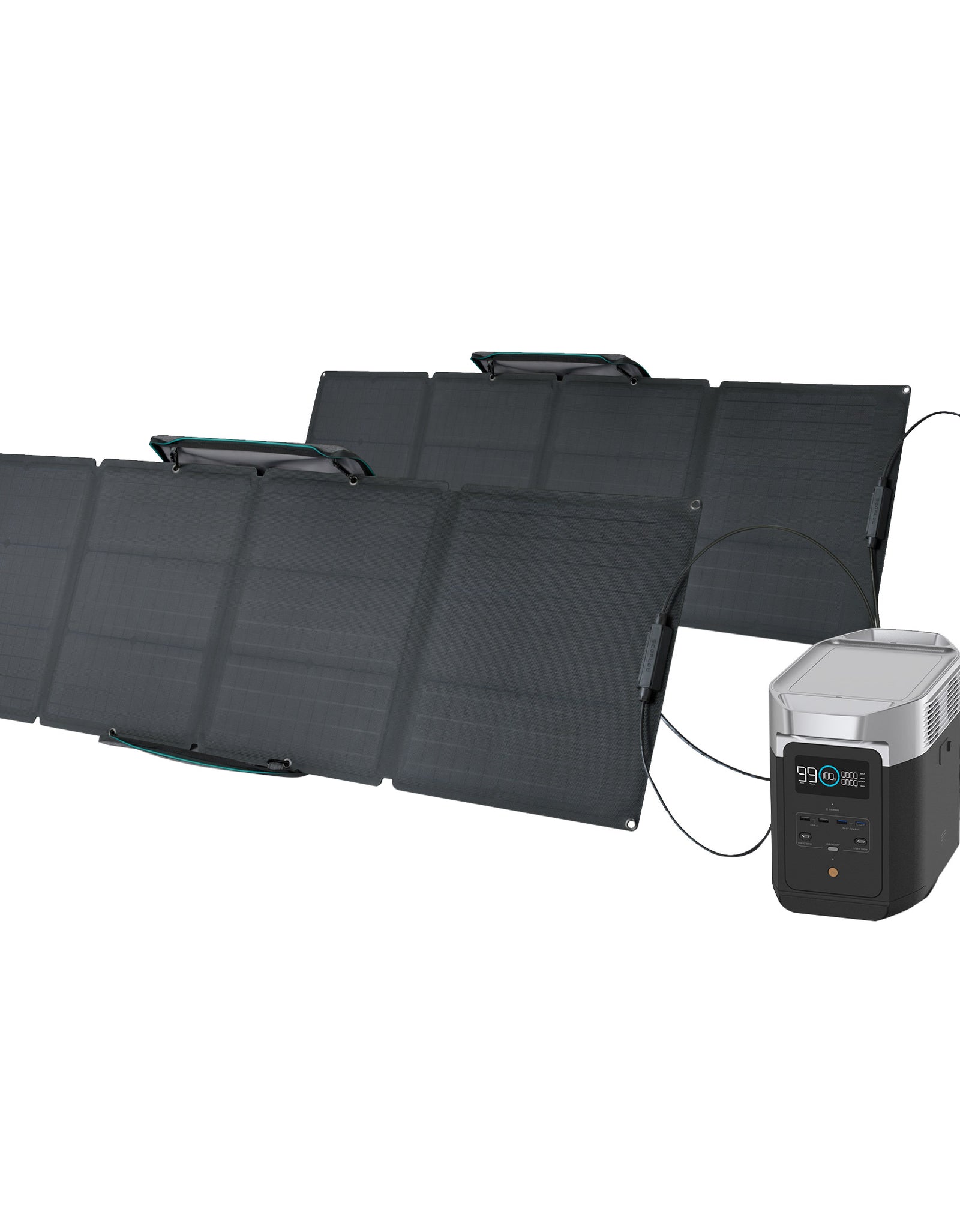 DELTA 2 Portable Power Station with 2-Piece 110W Solar Panel